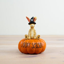 Witch Rabbit on Pumpkin