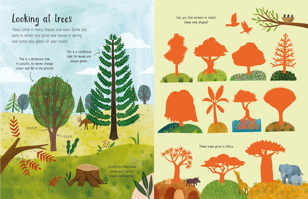 First Sticker Book: Trees