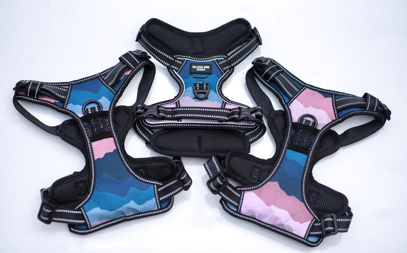 Loch Lomond Dog Harness