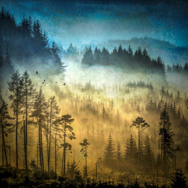 Dukes View, Trossachs Print