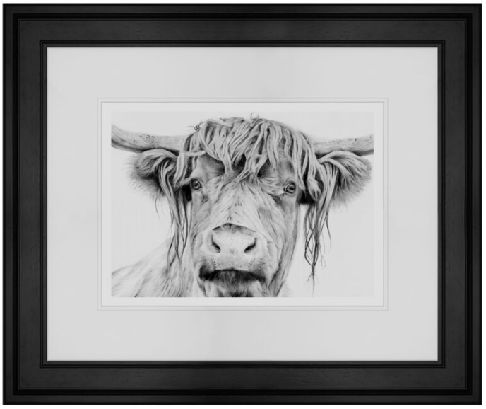 Angus Highland Cow Charcoal Framed Print