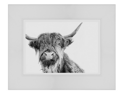 Bruce Highland Cow Charcoal Print