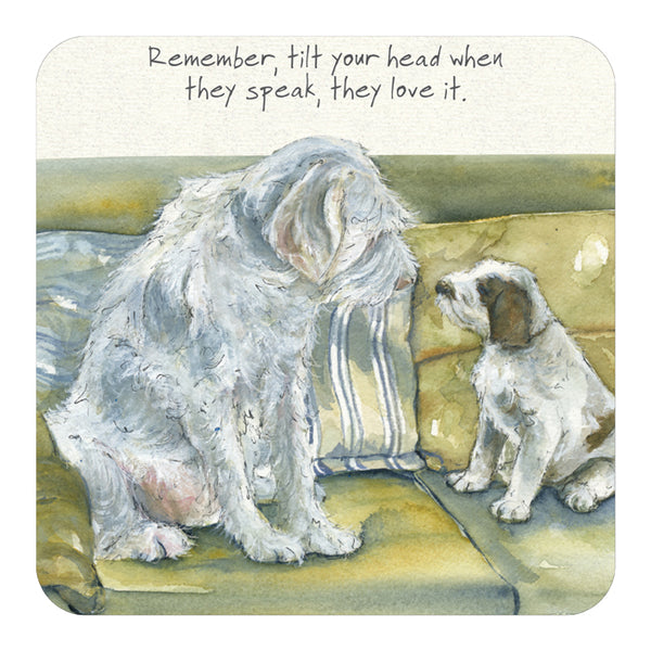 Tilt Head - Coaster