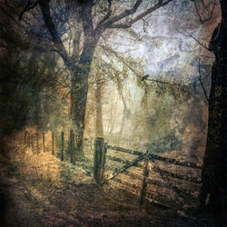 Jenny's Road Print