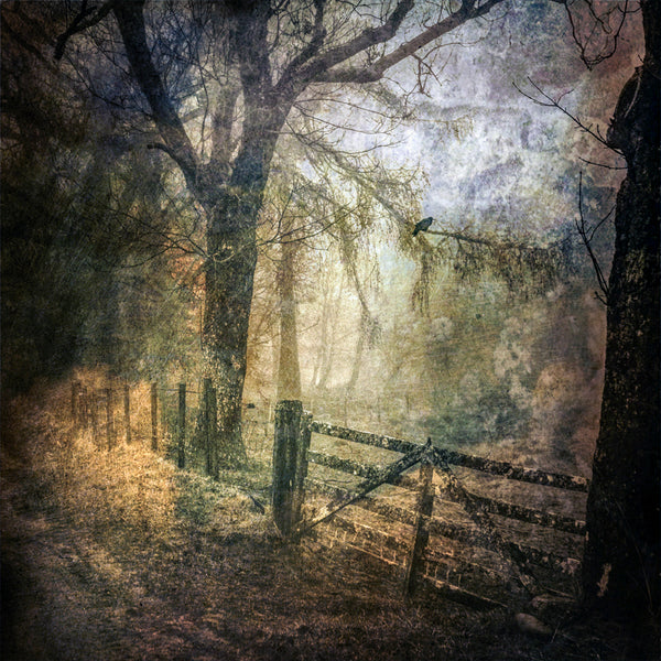 Jenny's Road Print