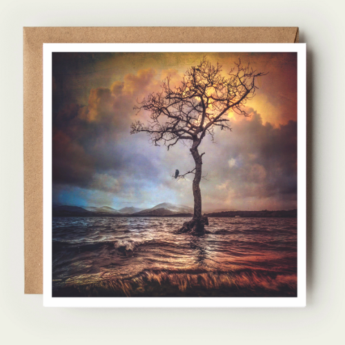 Milarrochy Bay Card DG006