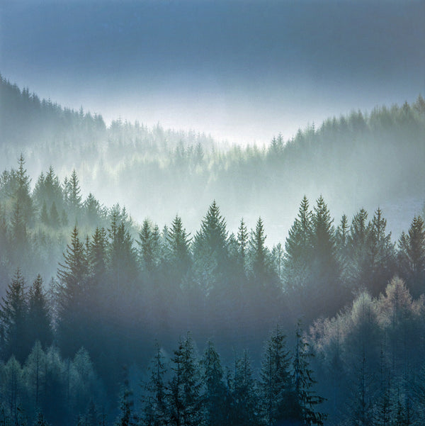 Dukes Pass Mist Print