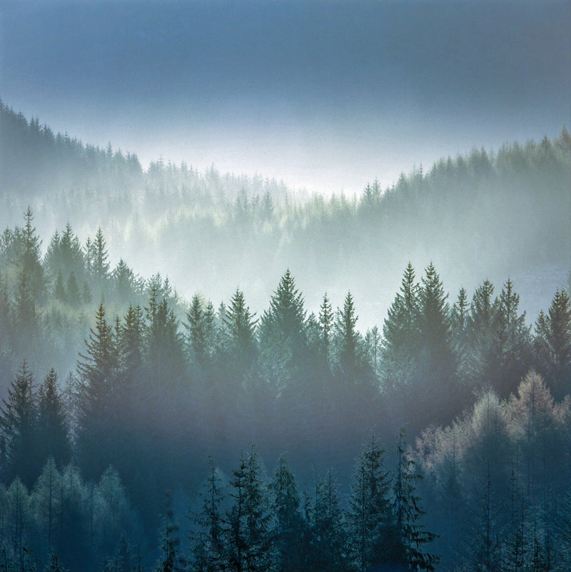 Dukes Pass Mist Print
