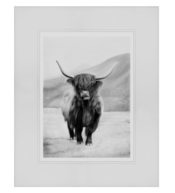 Doogal Highland Cow Charcoal Print