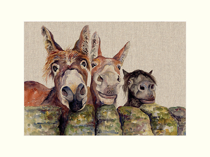 Donkeys by Jane Bannon