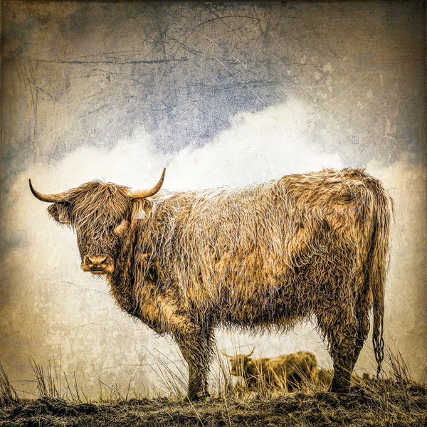 Coo! Print