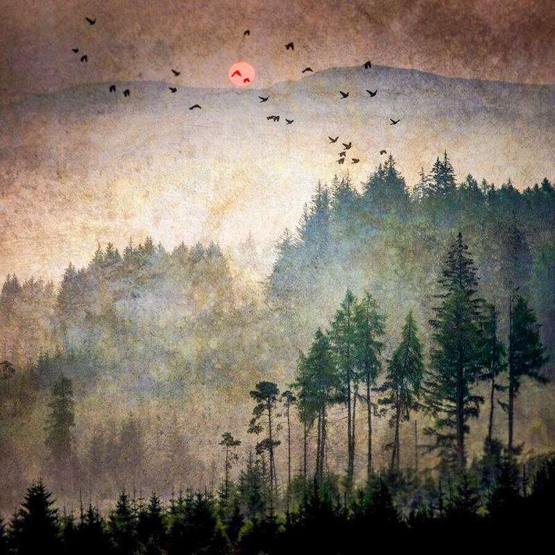 Dukes Sunrise Trossachs Print