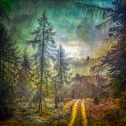 Loch Laggan Path Print