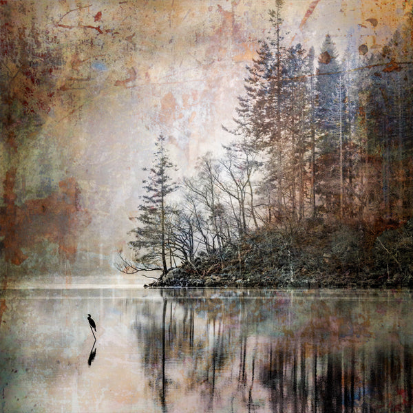 Loch Ard Cormorant Print