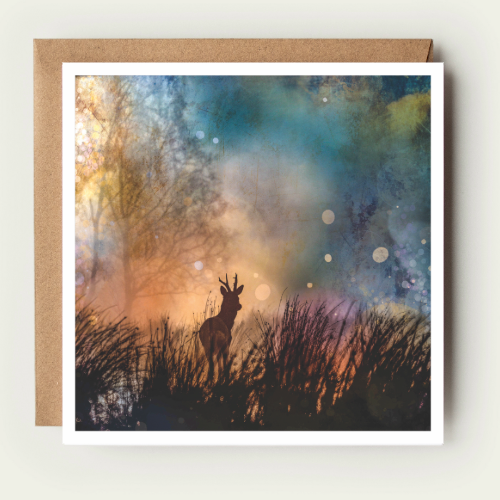 Roe Deer Card MS005