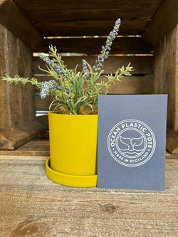 Ocre Yellow Ocean Plastic Plant Pots