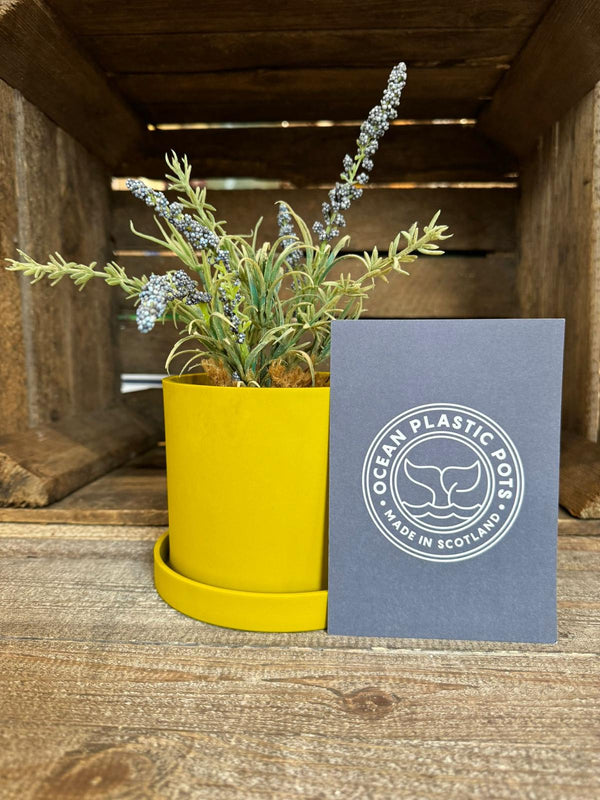 Ocre Yellow Ocean Plastic Plant Pots