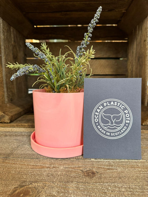 Pink Ocean Plastic Plant Pots