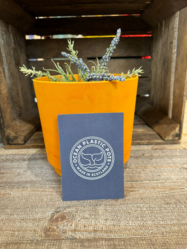 Orange Ocean Plastic Plant Pots