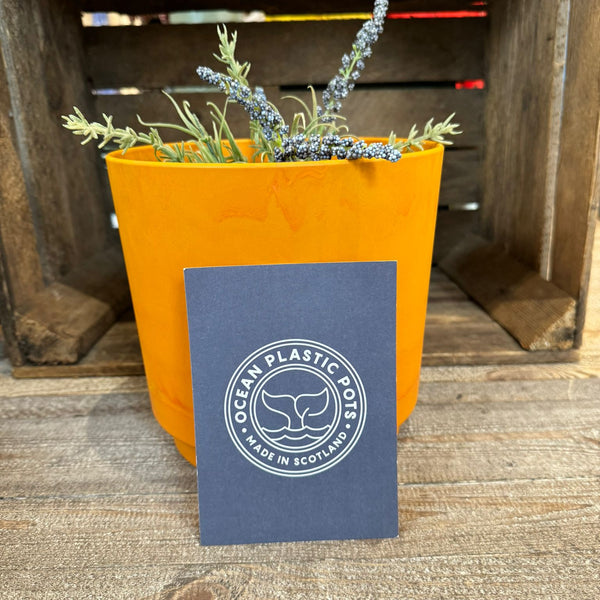 ocean plastic plant pots Orange Ocean Plastic Plant Pots – Luss General Store