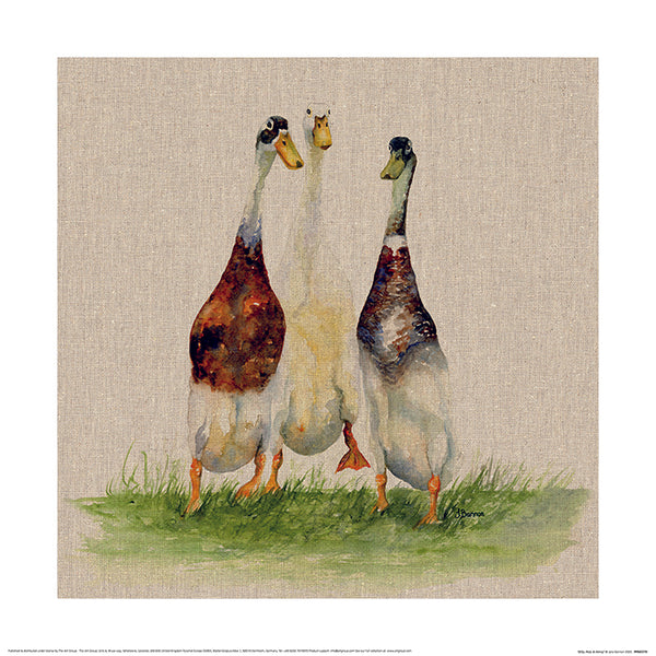 Ducks by Jane Bannon