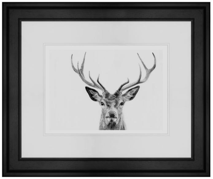 Rannoch Stag Charcoal Framed Print