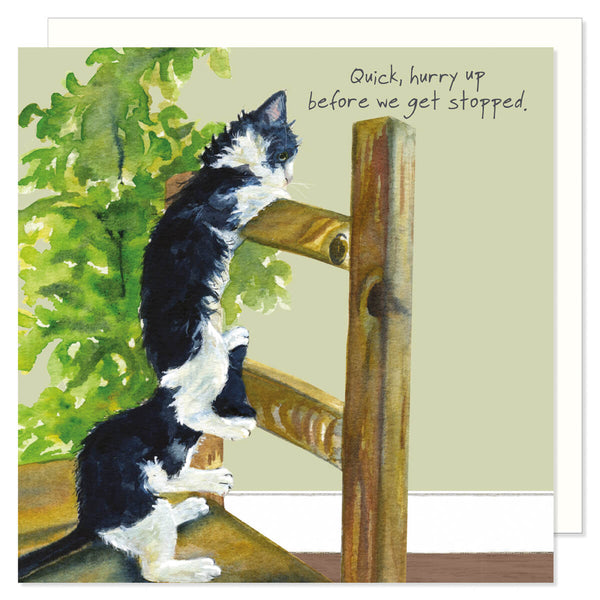 Kittens - Card