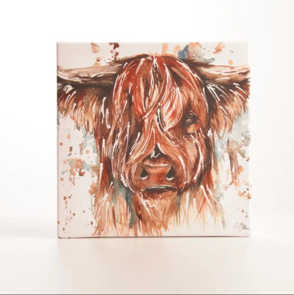 Highland Cow Canvas by Meg Hawkins