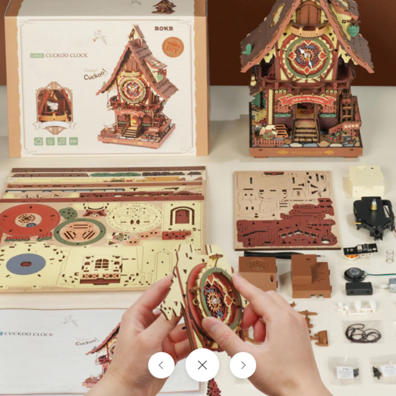 Cuckoo Clock DIY Kit