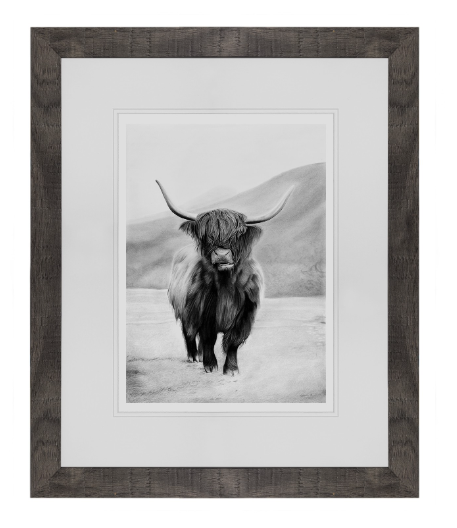 Doogal Highland Cow Charcoal Framed Print