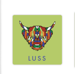 Luss Colourful Cow Coaster