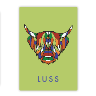Luss Colourful Cow Magnet