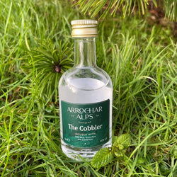 Arrochar Alps Gin, The Cobbler Miniature 5cl