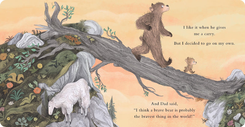 Brave Bear Board Book