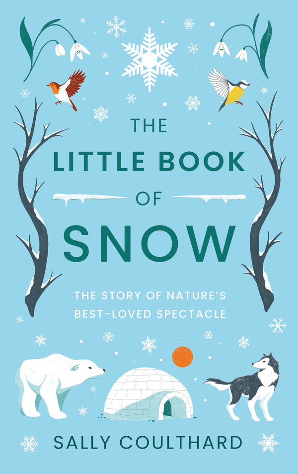 Little Book of Snow