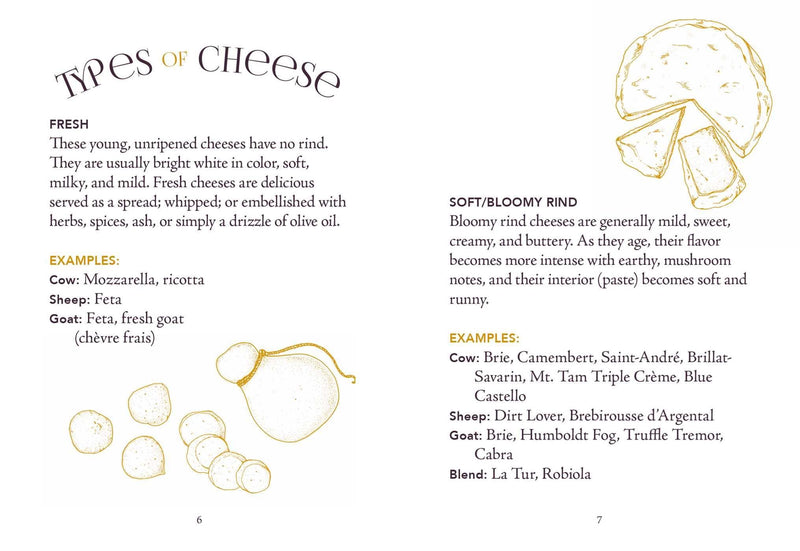 Little Book of Charcuterie & Cheese