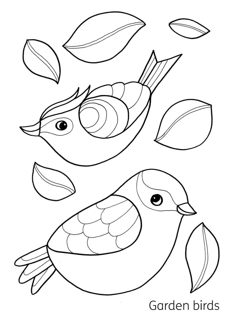 My First Colouring Book Scottish Animals