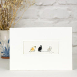 Cats Woollen Print