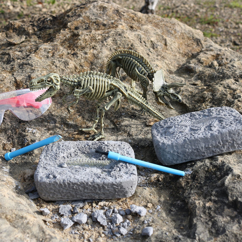 Dinosaur Excavation Set in a Tin