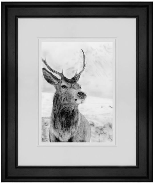 Etive Stag Charcoal Framed Print