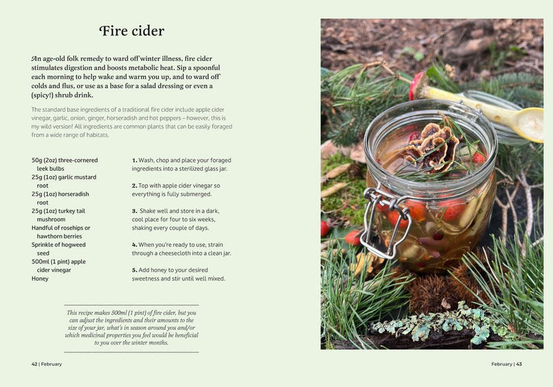 Forager's Almanac