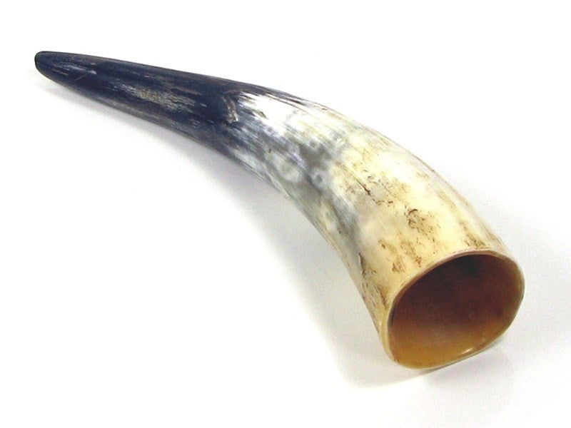 Polished Cow Horn