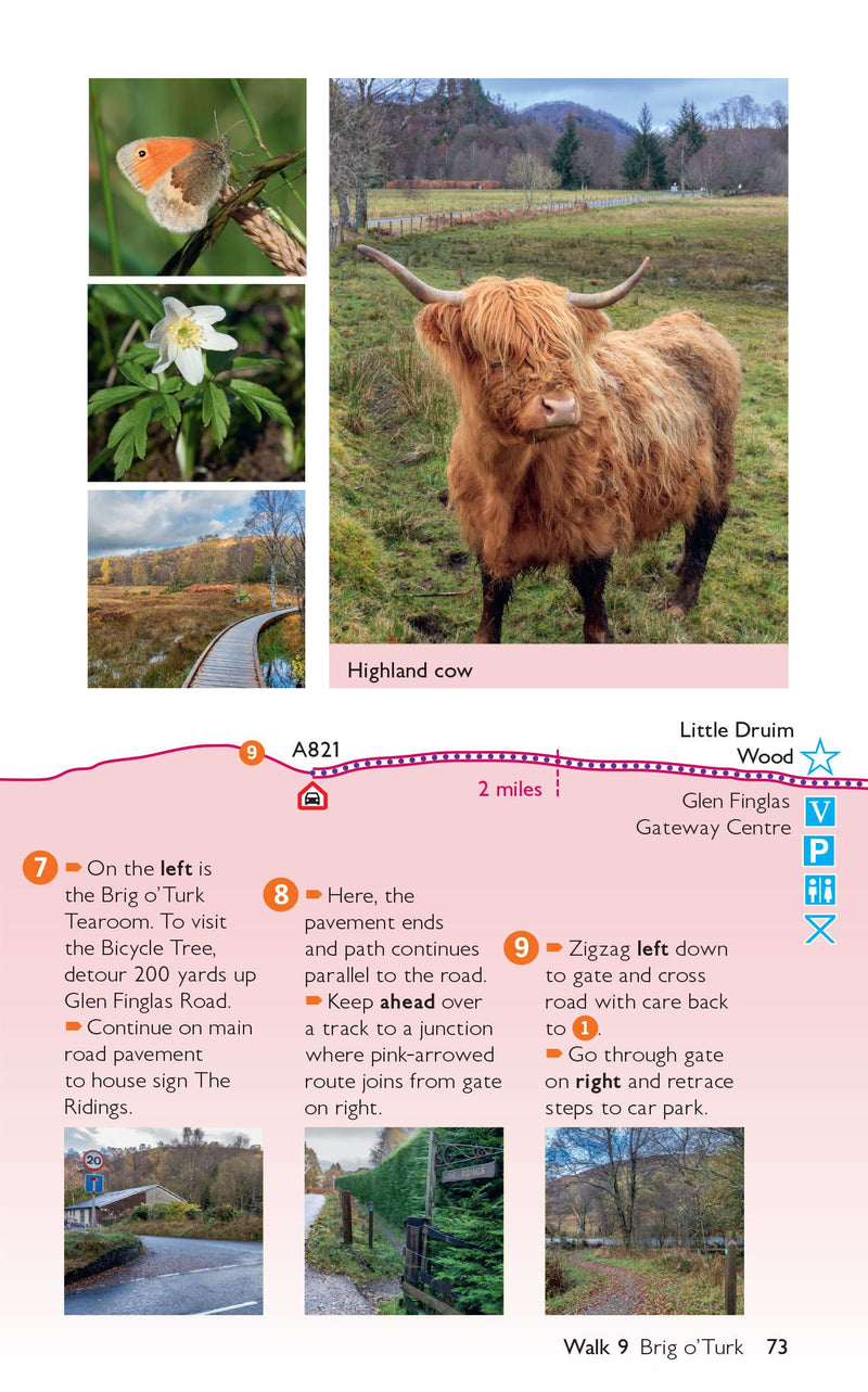 Short Walks Made Easy: Loch Lomond/Trossachs