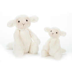 Bashful Lamb - Luss General Store