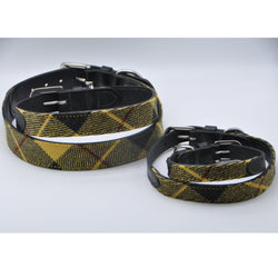 Dog Collar in MacLeod Tweed