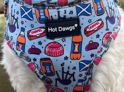 All About Scotland Dog Harness