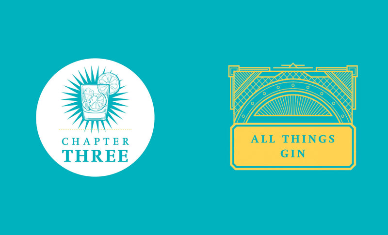 The Little Book of Gin- Distilled to Perfection