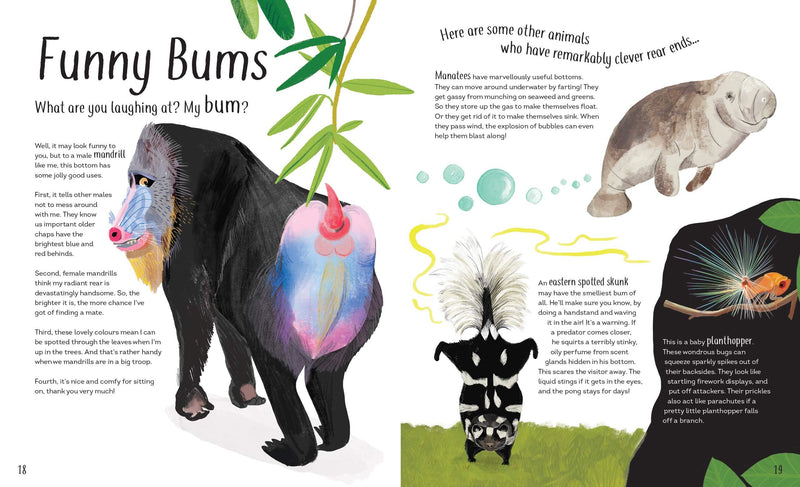 Funny Bums, Freaky Beaks