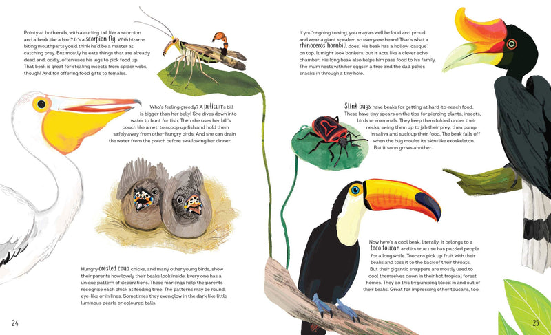 Funny Bums, Freaky Beaks