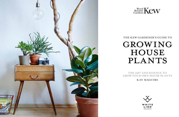 The Kew Gardener's Guide to Growing House Plants